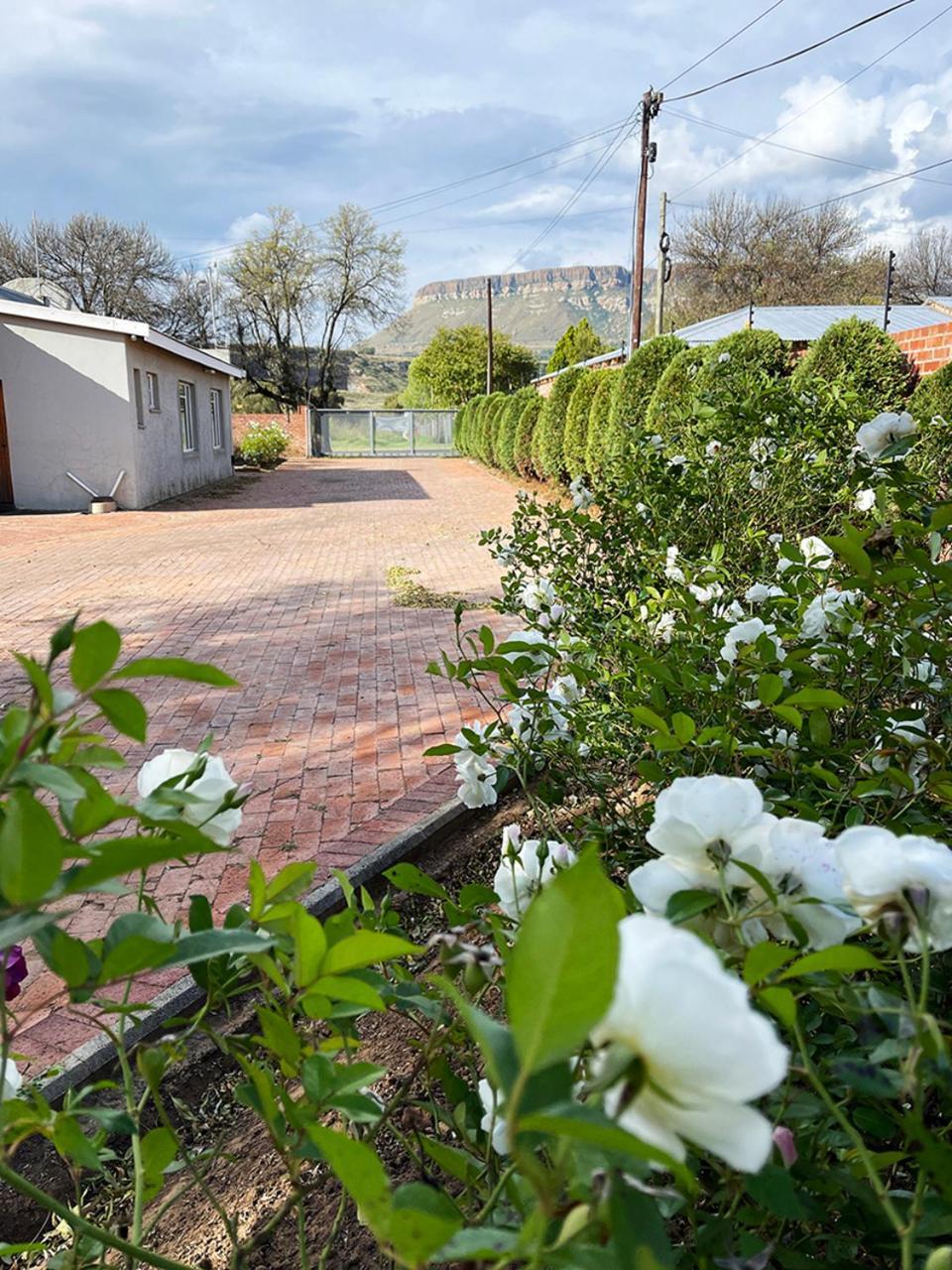 Village Lodge Harrismith Extérieur photo